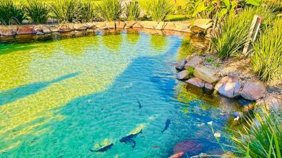 Ágio -  Condomínio Portal do Lago 