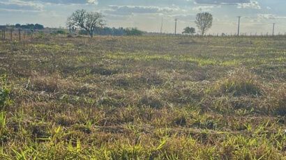 Ágio no Condomínio Recanto do Lago - Qd01 Lt15