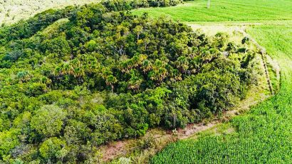 Chácara à Venda – 20.000m² -  Perto de Bela Vista de Goiás
