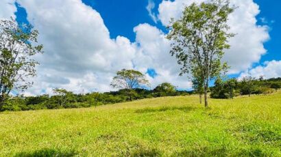 Chácara à Venda em Caldazinha - GO