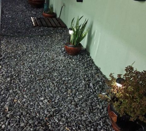 Jardim