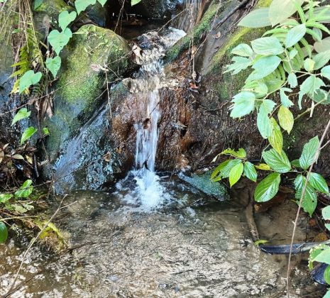 Chacaras de 20 mil M² em Bela Vista de Goiás