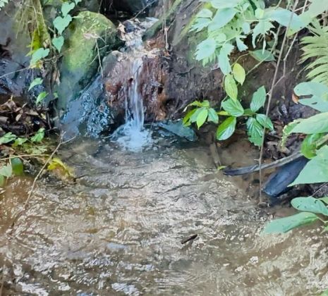 Muitas Nacentes e Agua pura