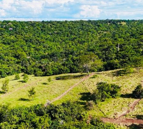 Muita area verde