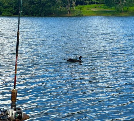 Chácaras com Pesca esportiva