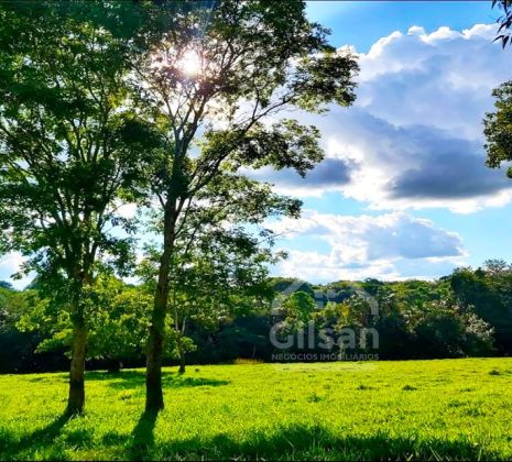 Condomínio com área verde em Aragoiânia