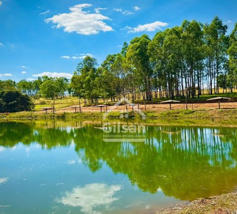 Um recanto do lago em aragoiania